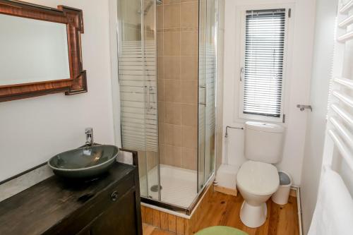 une salle de bain avec un lavabo, des toilettes et une douche dans l'établissement Gîte 2 - l'Alsacienne, à Mittelwihr