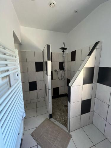 La salle de bains est pourvue d'une douche avec du carrelage noir et blanc. dans l'établissement La maison d'Alice, à Sarlat-la-Canéda