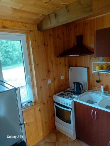 a kitchen with a stove and a sink in a cabin at Domki Pod Jarzębiną Borsk in Borsk