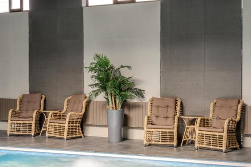 four rattan chairs and a potted plant next to a pool at HUSMA Hotel & Spa in Tashkent