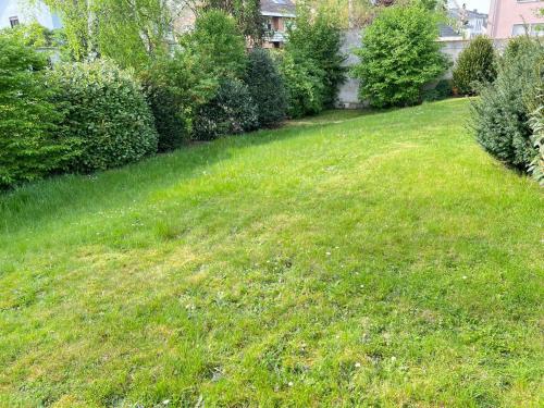 a yard with a green lawn with bushes and trees at Ferienhaus große Villa "Smart home" in Euskirchen