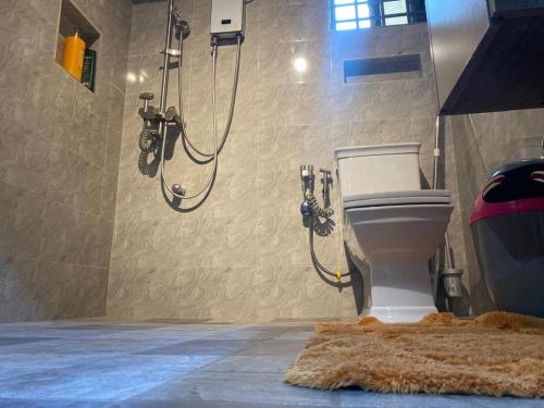 y baño con ducha y aseo con alfombra. en Chic Haven cabin, en Trofwi