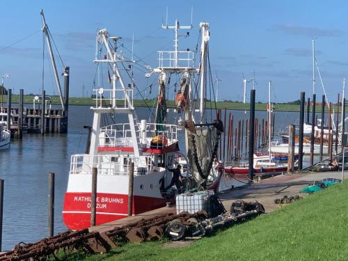 a red and white boat is docked at a dock at Ferienwohnung Tichelmeister 45261 in Ditzum