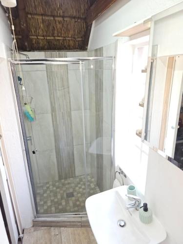 a bathroom with a shower and a sink at Charming Loft-Style Appartment in Sandton