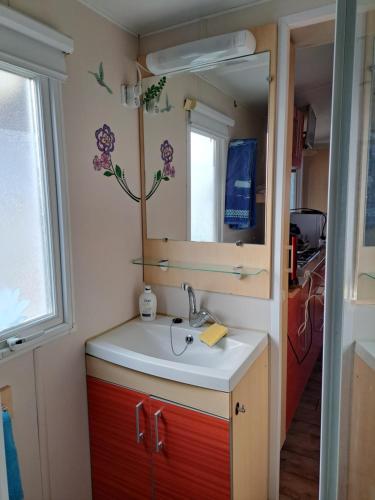 a bathroom with a sink and a mirror at Mobilhome confortable in La Celle-sous-Gouzon