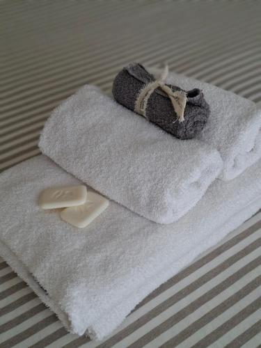 Billede fra billedgalleriet på mstudio I Monoambiente VIRA i Puerto Madryn