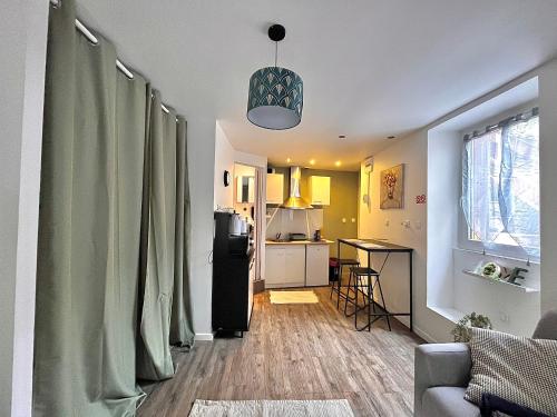 Il comprend un salon avec un réfrigérateur et une cuisine. dans l'établissement Joli T1 avec terrasse proche des Thermes, à Royat