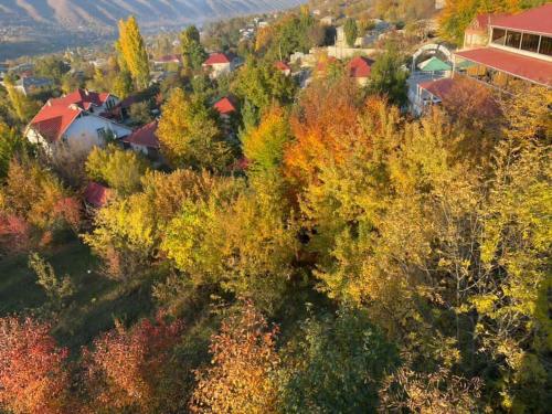 an aerial view of a town with trees and buildings at Vələs Garden in Quba