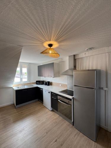 a kitchen with a refrigerator and a ceiling with a light at Au pays des bretzels in Horbourg