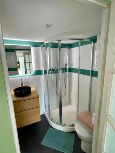 une salle de bain avec douche et toilettes dans l'établissement Maison piscine à 3' de la mer., à Yves
