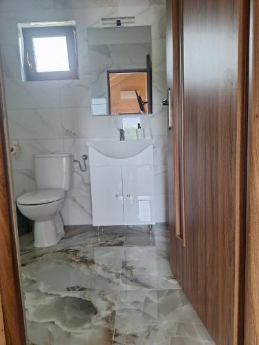 a bathroom with a toilet and a sink at Cabana Suzanne Băile Figa-cu aer conditionat in Agrişu de Sus