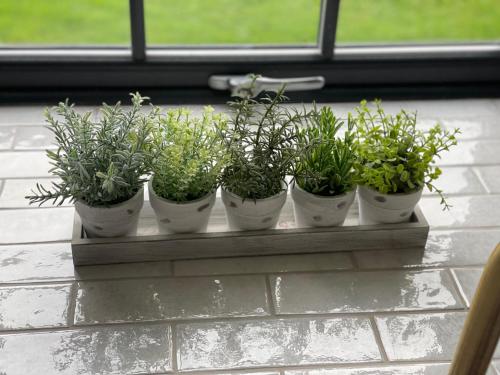 Billede fra billedgalleriet på The Blacksmiths Shop Cottage - Sleeps 2 - Hot Tub i Wooler