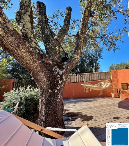 a tree with chairs and a hammock under it at VILLA HORUS - Bergerie 1chambre - piscine privée in San-Gavino-di-Carbini