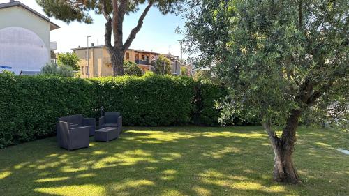 a yard with a tree and chairs in the grass at La Casa Bianca Rooms&Lounge in Cesenatico