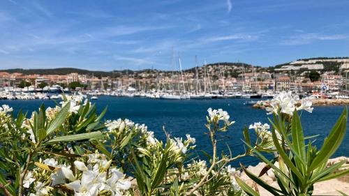 une vue d'un port avec des bateaux dans l'eau dans l'établissement Chambre d'hôte Centre Ville Bandol, à Bandol