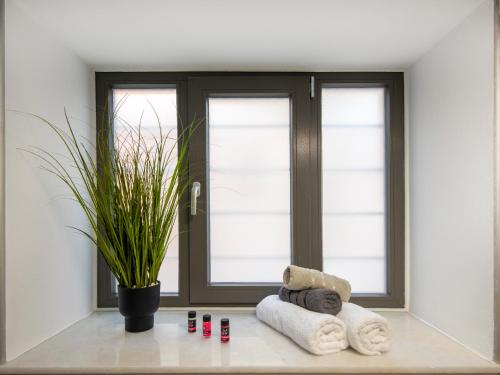 a room with a window with a plant and towels at Elements Syros Apartments in Ermoupoli