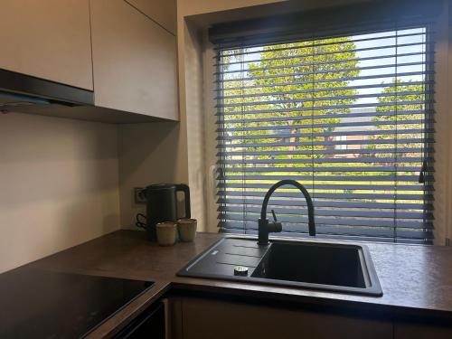 a kitchen counter with a sink and a window at Cozy STAY in City Center in Telšiai