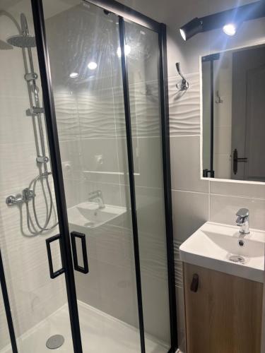 une salle de bain avec douche et lavabo dans l'établissement LA MAISON DU LAC climatisée et WiFi gd F3, à Port-la-Nouvelle