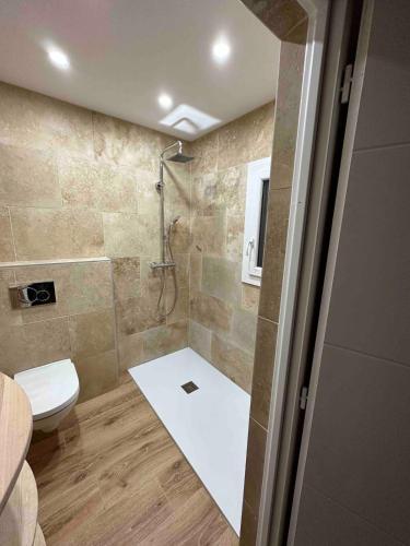 une salle de bain avec une douche avec des toilettes et un lavabo dans l'établissement La Picholine, à Aubenas