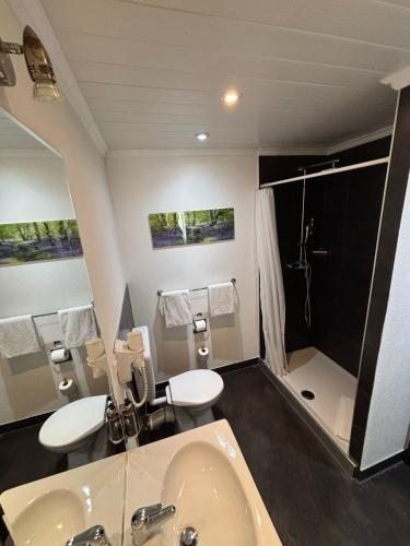 a bathroom with a sink and a shower at Hotel Parc & Lac in Montreux