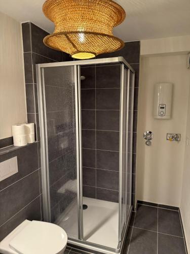 a bathroom with a shower with a toilet and a chandelier at 1- Zimmerappartment in Geisenheim