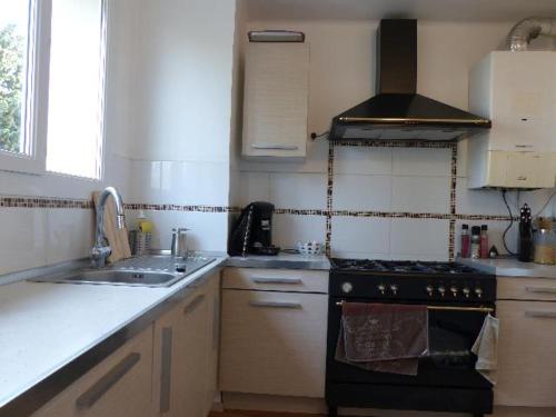 Il comprend une petite cuisine équipée d'une cuisinière et d'un évier. dans l'établissement Agréable appartement Montfavet Avignon, à Avignon