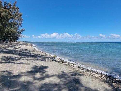 a beach with trees and the ocean on a sunny day at Villa des Filaos et du lagon o6, 93 , 70 , 59 , 79 in Saint-Leu