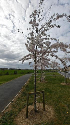 Gallery image of Entire 3BD Home 15 minutes from Dublin Airport in Portmarnock