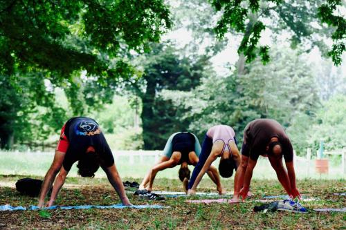 a group of people doing a yoga pose in the grass at OAK Glamping Relax in Manziana