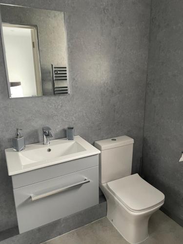a bathroom with a toilet and a sink and a mirror at The Annexe in Felton