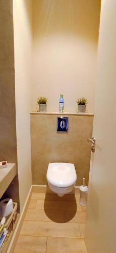 une salle de bains avec des toilettes avec deux plantes sur une étagère dans l'établissement Le Pérignan maison 3 chambres piscine, à Fleury