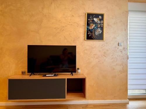TV a/nebo společenská místnost v ubytování Luxe Apartman Sokobanja