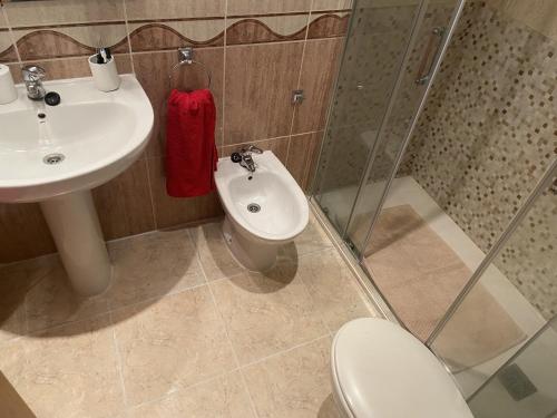 a bathroom with a toilet and a sink and a shower at Apartamentos Marina Park in Oropesa del Mar