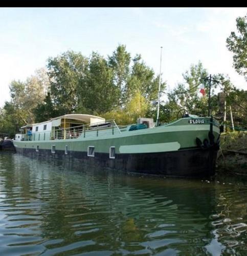 un bateau vert posé sur l'eau dans l'établissement L'Arlésienne, à Arles