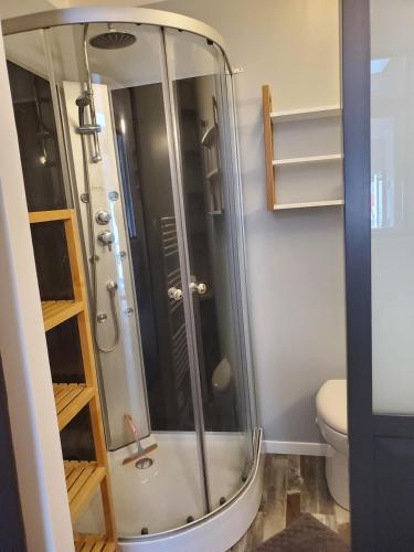 une douche dans une salle de bain avec toilettes dans l'établissement Chaillot 1, à Saintes