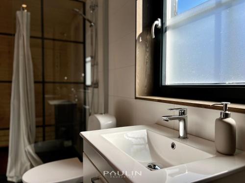 a bathroom with a sink and a mirror and a toilet at Lindvallen Ski Resort Pool and Padel - Sauna - 4 Guests in Herräng