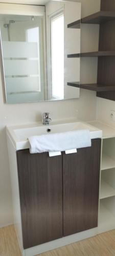 une salle de bain avec un lavabo et un miroir dans l'établissement Camping du Gouffre - Mobil-home 082, à Plougrescant