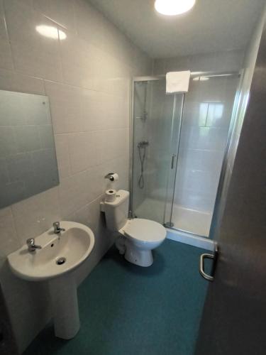 a bathroom with a toilet and a sink and a shower at The Saltley Inn in Birmingham