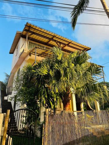 a house with a palm tree in front of it at Cozy and Rustic moments in Albion