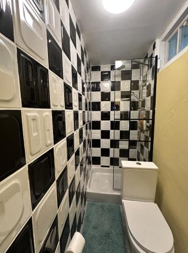 a bathroom with a toilet and a black and white tile wall at Hotwells Clifton Apartment in Bristol