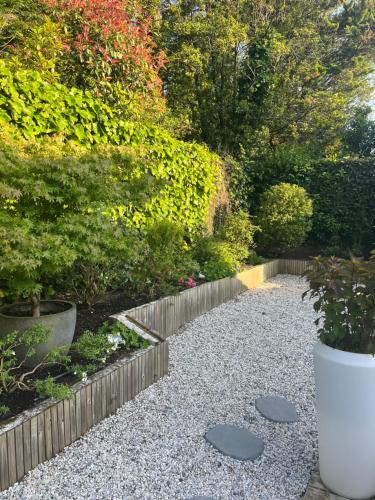 a garden with a stone path and plants at Chambre d'Hôtes Etchebri in Anglet