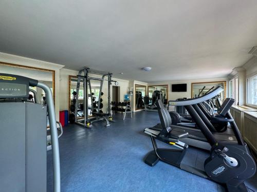 a gym with treadmills and ellipticals in a room at Platinum Suite & Spa in Morcote