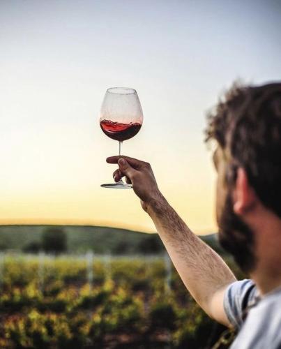 a man holding up a glass of red wine at QUINTA DA FAÍSCA - Agro Turismo in Favaios