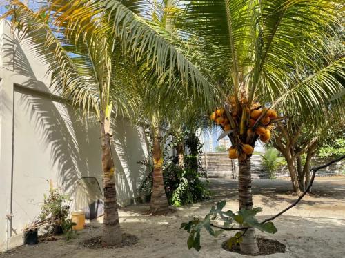 Κήπος έξω από το Hostal Terramar Salinas