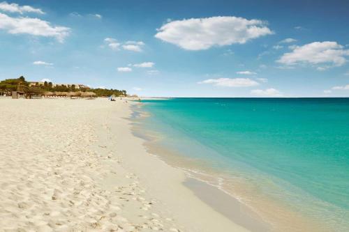 a sandy beach with the ocean and a blue sky at Beachfront- Eagle Beach- Top View 1BR condo - P514 in Palm-Eagle Beach