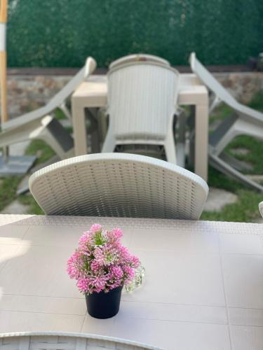 a table with a flower pot on a table with a chair at Bóris House in Ognyanovo