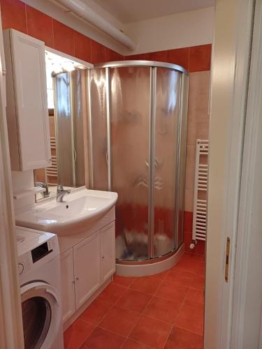 a bathroom with a shower and a sink and a washing machine at Gli appartamenti in piazza in Calalzo