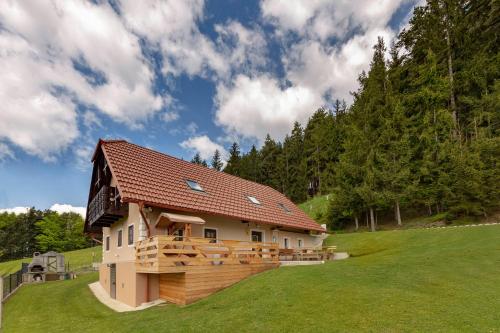a house with a gambrel roof on a green field at Sunflower House with Jacuzzy and Sauna in Vitanje