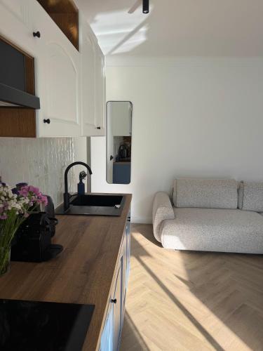 une cuisine avec un évier et un canapé dans une chambre dans l'établissement L'Appartement Néréide - Côte d'Azur, à Roquebrune-Cap-Martin