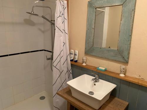 une salle de bain avec un lavabo et une douche avec un miroir dans l'établissement Iris Meadow Cottage, à Gardonne